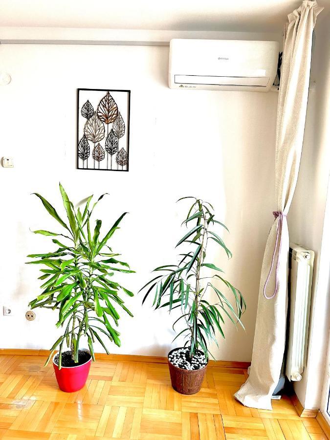 Vintage Bucharest Apartment Eksteriør billede